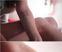 Tatuagem de gatos