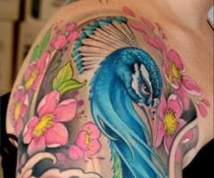 Peacock tattoo