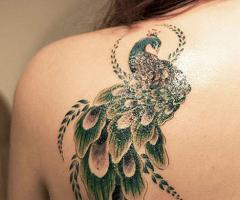 20 Beautiful Ideas of Peacock Feather Tattoo Designs