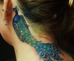 Female peacock feather tattoo