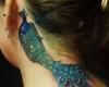 Peacocks Tattoo Design