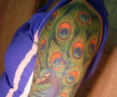 Beautiful Peacock Feather Tattoo Designs