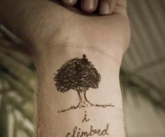 I climbed the tree to see the world