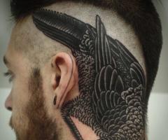 Bird in head