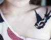 Tatuagens de andorinhas