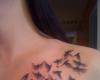 Palomas volando