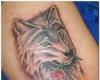 Wolf tattoo on the skin