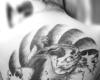 Black and white koi fish