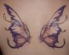 Purple butterfly wings back tattoo