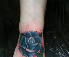 Rosa azul cover up