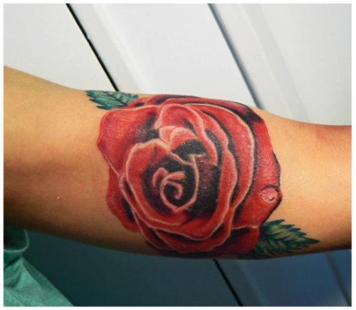 Rosa realista