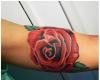 Rosa realista