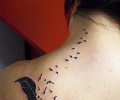 Birds by Vicky