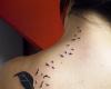 Birds by Vicky