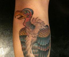 Vulture tattoo