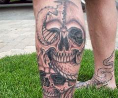 Skull with snake