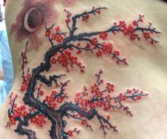 Cherry blossom tattoo