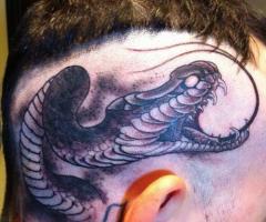 Serpiente en la cabeza