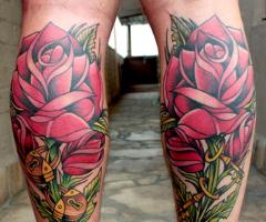 Roses great colors