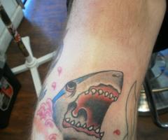 Fun shark tattoo