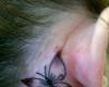 Butterfly behind the ear