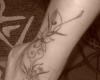 Black curvy lines between flowers