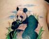Tatuaje de oso panda