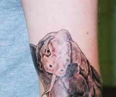 Tatuaje de dragón de Komodo