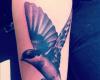 Swallow