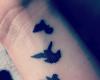 Birds tattoo