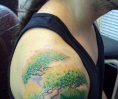 Arbol en colores