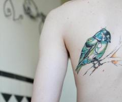 Abstract Bird