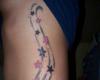 Star tattoo on side body tribal