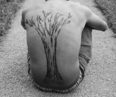 El árbol deshojado