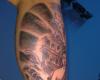 The Best Buddha Tattoos