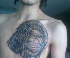 Leon en el pecho