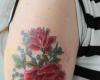 Rosas
