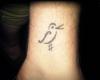 Music bird