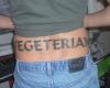 http://www.tattooset.com/images/tattoo/2012/05/22/3392-vegetarian-tattoo_tiny.jpg