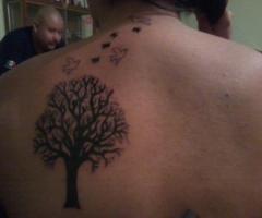 Mi árbol