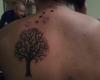 Mi árbol