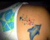 Dolphin and stars tattoo