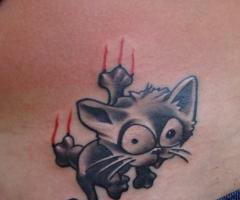 Gatito arañando la piel