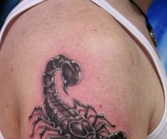Escorpion en 3D