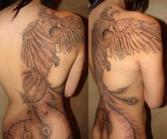 Phoenix tattoos for men and women