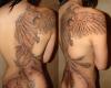 Ave Fenix espalda completa