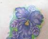 Orquideas full collor