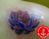 Lotus Flower