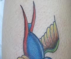 Golondrina Neo Tradicional