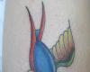 Golondrina Neo Tradicional